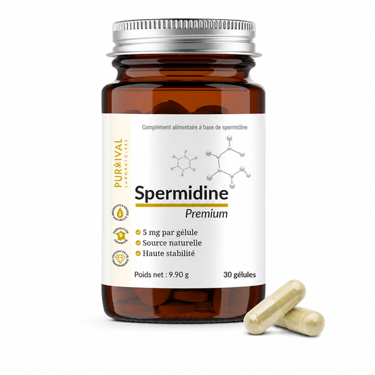 Spermidine Premium