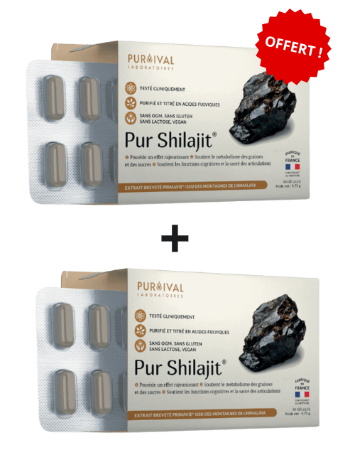 Pur Shilajit - Offre Spéciale 1 acheté = 1 offert - Purvival