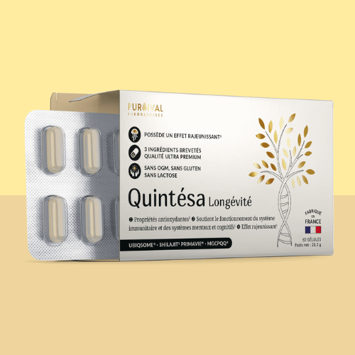 Quintésa - Purvival