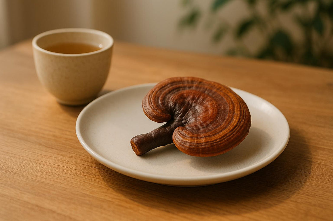 Reishi et Stress : ce que dit la science