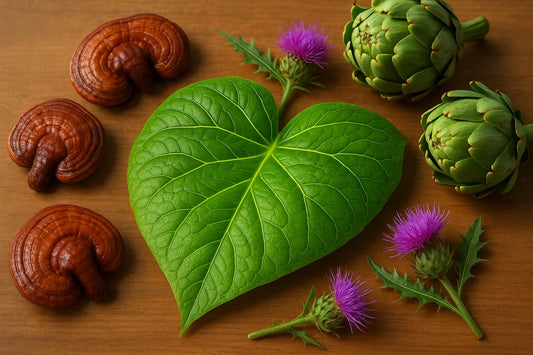 Reishi et foie : le duo gagnant pour votre vitalité