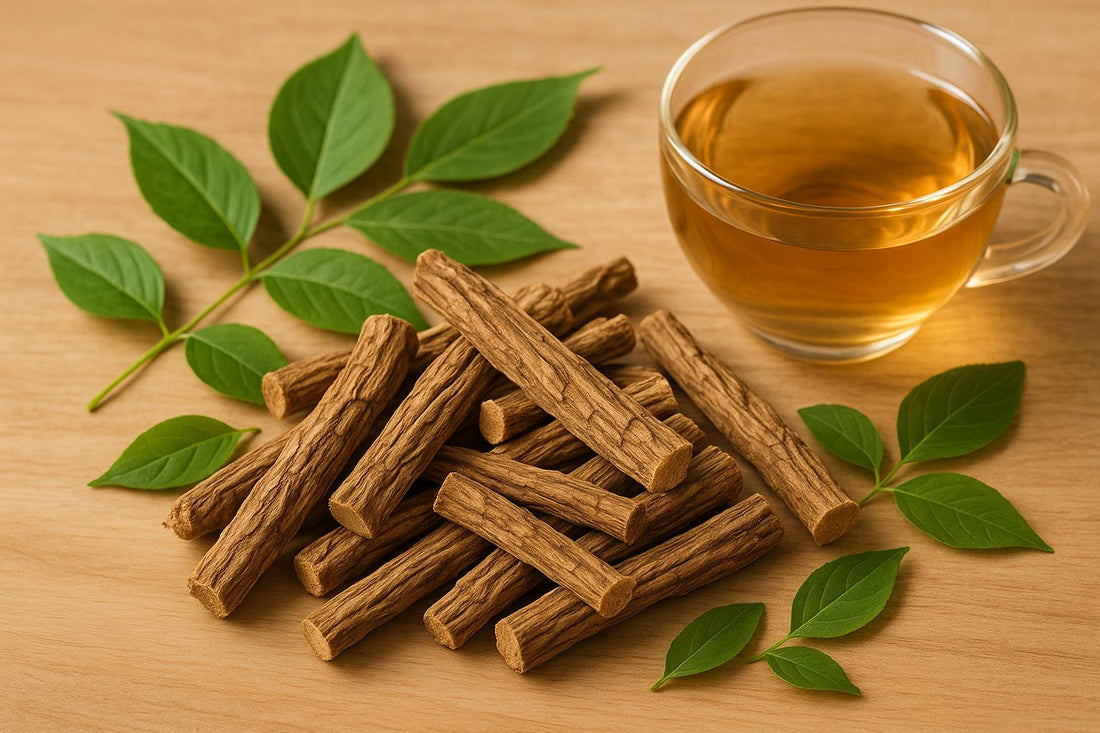 Comment l'eleuthero régule le cortisol et protège le cœur - Purvival