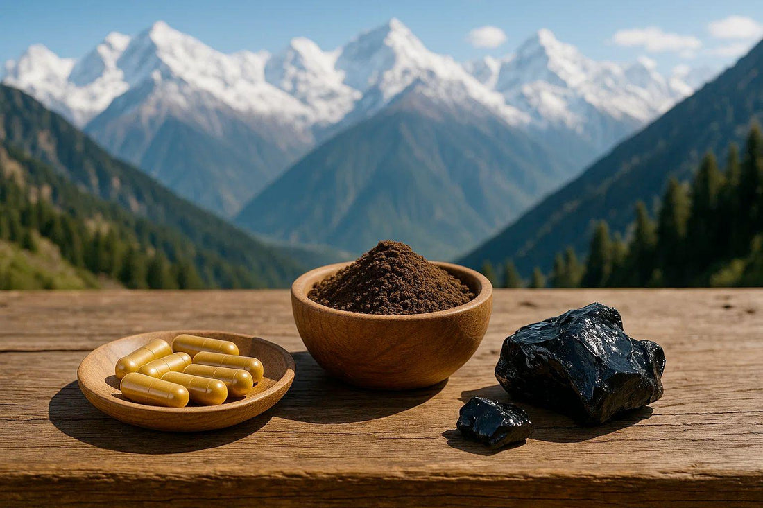 Est-ce que le shilajit marche vraiment ? Tout savoir sur cette résine de l’Himalaya - Purvival