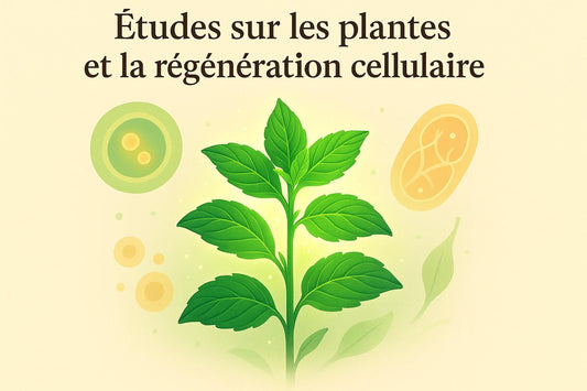 Études sur les plantes et la régénération cellulaire - Purvival