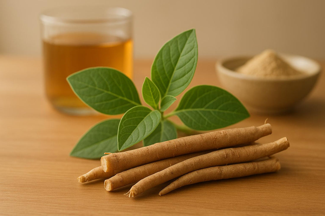 Guide complet : ashwagandha et équilibre cortisol - Purvival