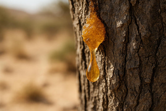 Guide complet: myrrhe des Indes et santé mammaire - Purvival