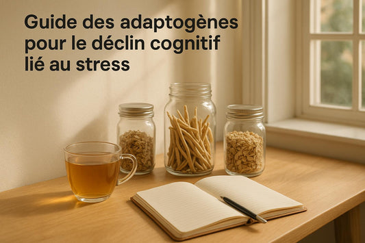 Guide des adaptogènes pour le déclin cognitif lié au stress - Purvival