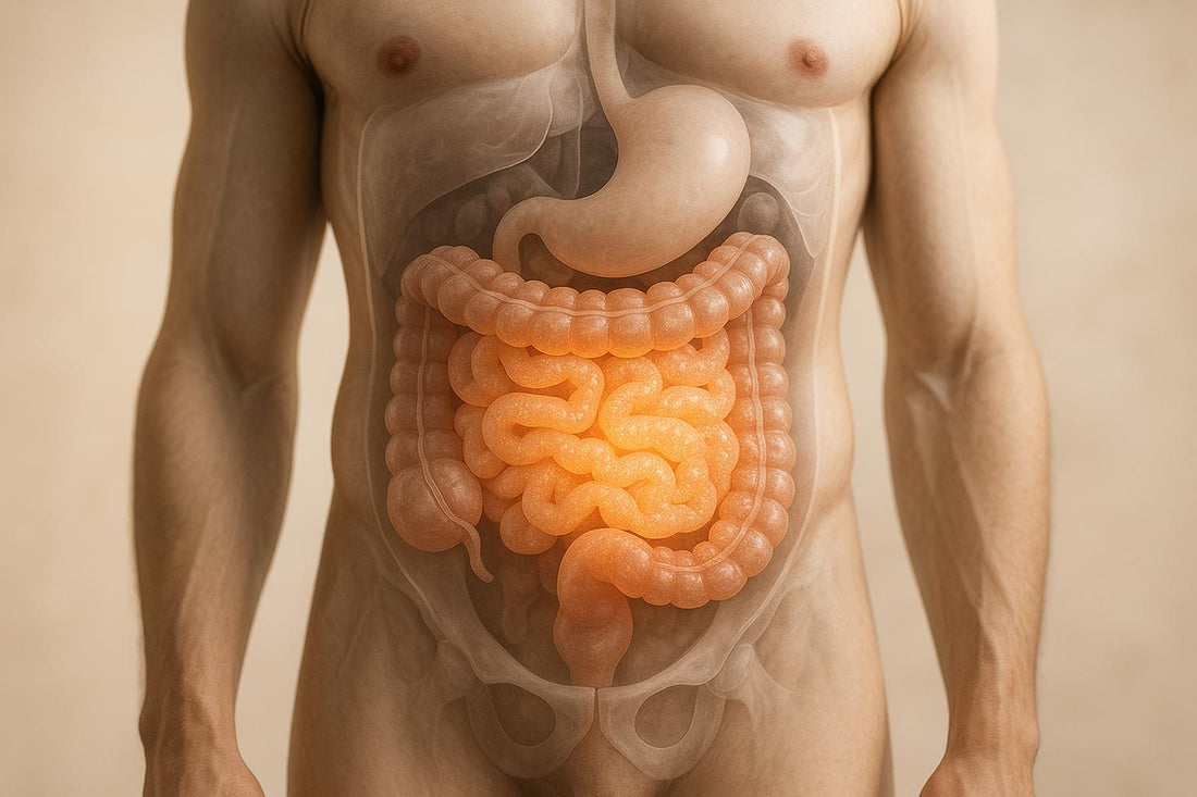 Test perméabilité intestinale maison : 5 signes et quiz gratuit en 2 minutes - Purvival