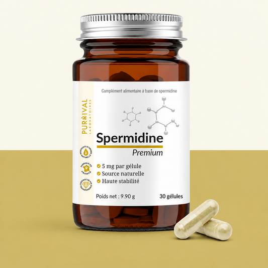 Spermidine Premium