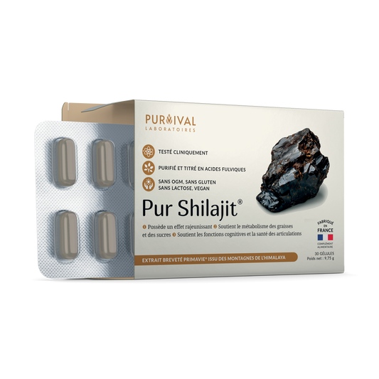 Pur Shilajit