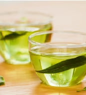 Extrait de Thé vert titré en catéchines