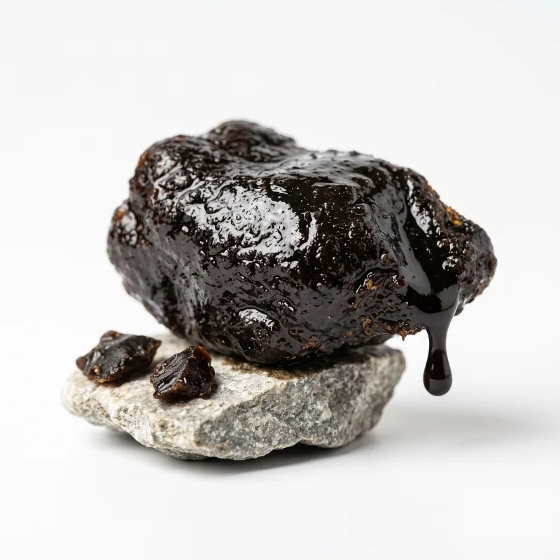 Shilajit PrimaVie