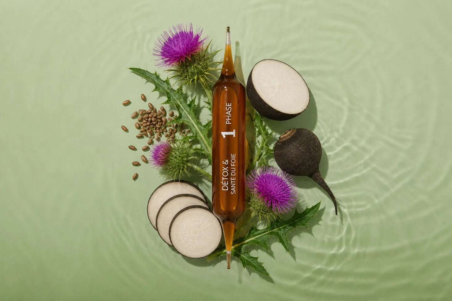 Ampoule Intégrale Détox Phase 1 entourée des 4 plantes