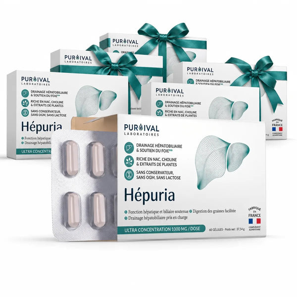 Hépuria — 6 boîtes