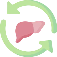 Métabolisme transformé