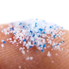 Microplastiques
