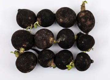 Radis noir