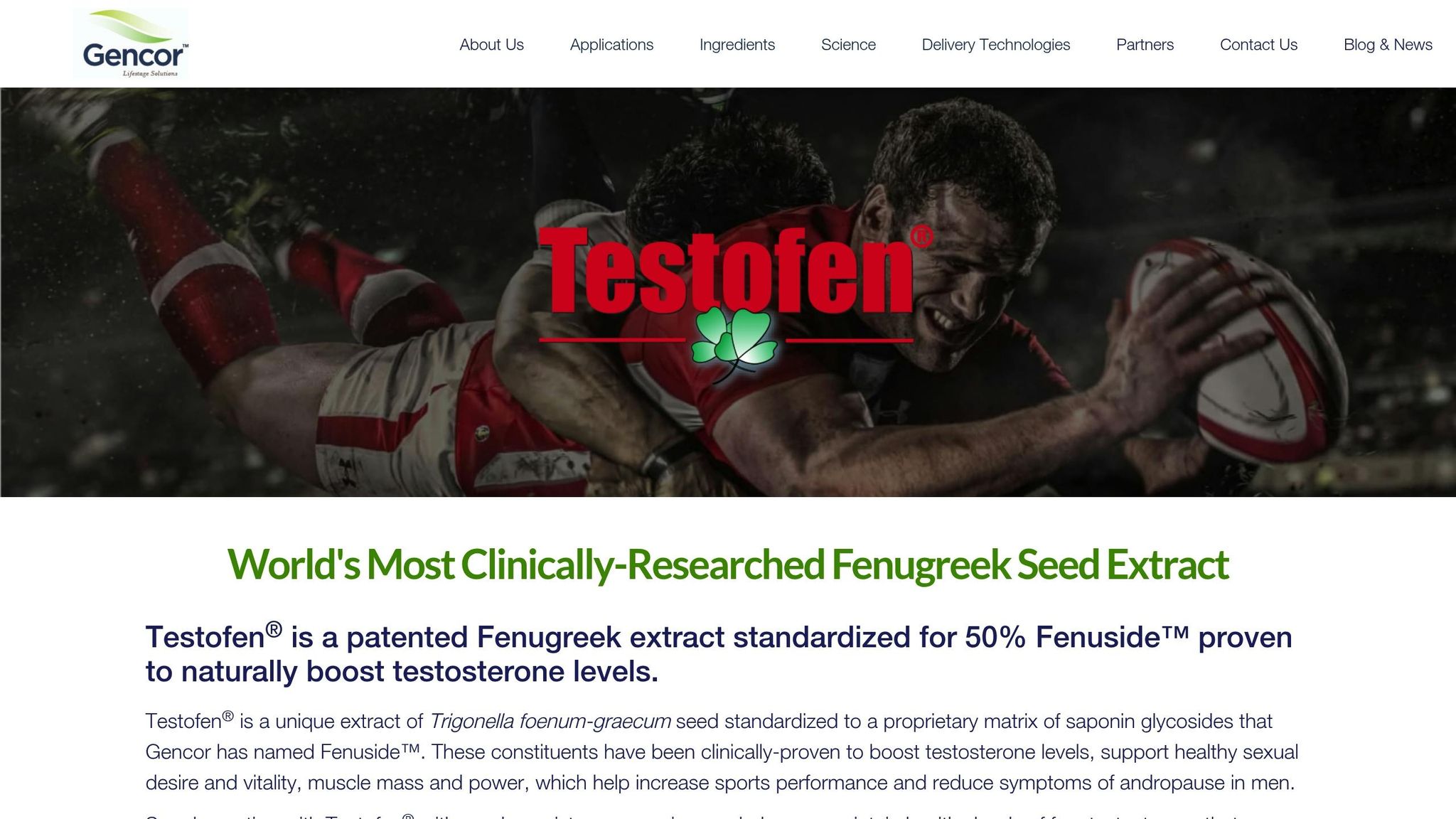 Testofen
