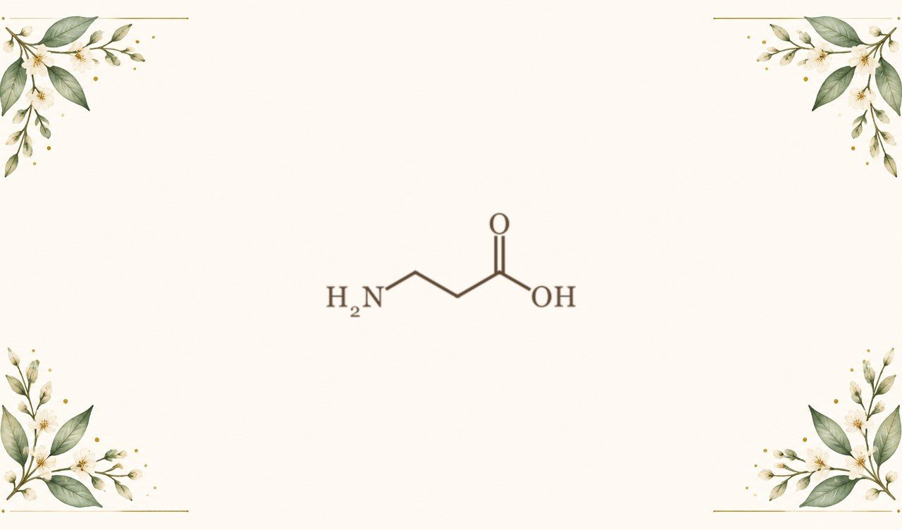 Illustration : Bêta-alanine